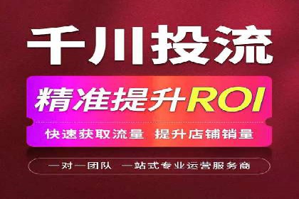 推广竞价策略优化：借鉴成功案例实现高效转化
